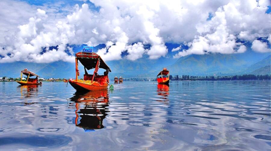 New Jersey Houseboat, Srinagar 5